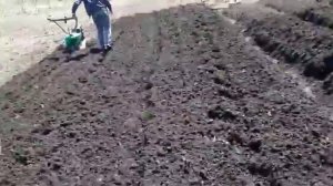 Как пашет мотоблок "caiman vario" (часть 2)