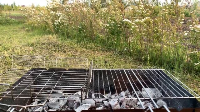 Вегетарианская Кухня