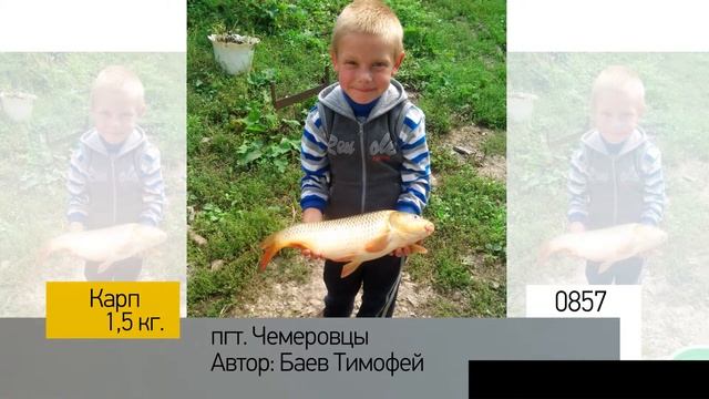 Фотоальбом - Рыбалка №171 смотреть онлайн