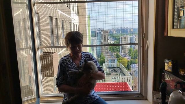 Отзыв довольной хозяйки кота Мойши о решетке Антикошка смотреть онлайн