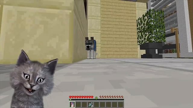 КОТ И ПЁС УКРАЛИ IPHONE XS У ШКОЛЬНИКА В МАЙНКРАФТ! ЖИЗНЬ ЖИВОТНЫХ В MINECRAFT смотреть онлайн