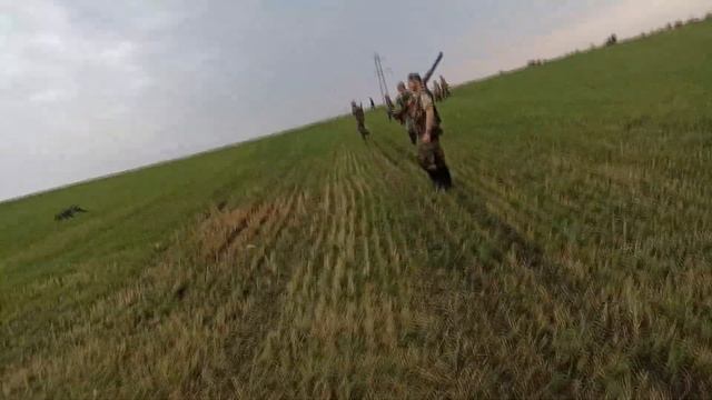 Открытие охоты на перепела. Ростовская область. #охота #охотанаперепела #открытиеохоты #лихойперепе смотреть онлайн
