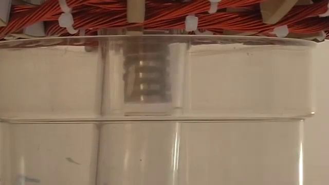 vortex tech replication magnetic field, by netica video 2 смотреть онлайн