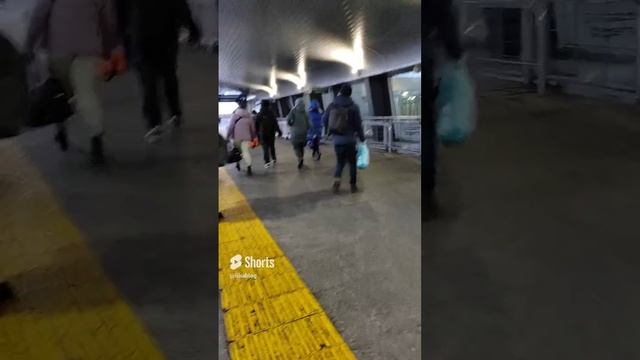 На общественном транспорте добралась в аэропорт Пулково