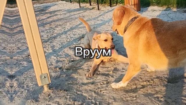 В голове лишь белый шум ?✨ смотреть онлайн
