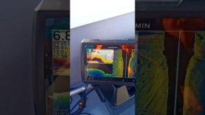 Риб Фортис 430Z немного о скоростных показателях.