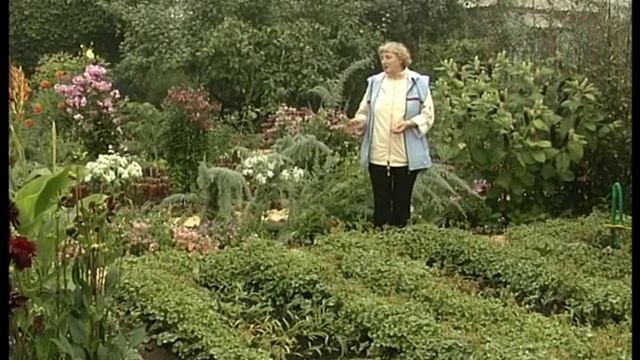 Польза опилок на огороде. Урожайные грядки. смотреть онлайн