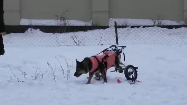Вита на лыжах 2 смотреть онлайн