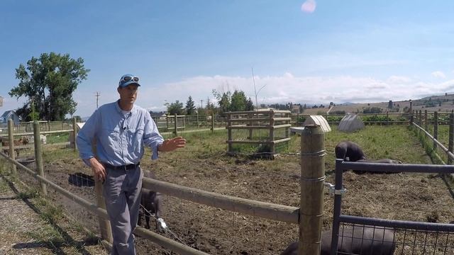 ABC acres: Follow the Leader - Rotational Grazing Scheme - episode #041 смотреть онлайн