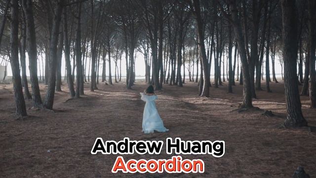 Andrew Huang - Accordion смотреть онлайн