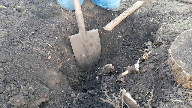 Разработка участка. смотреть онлайн