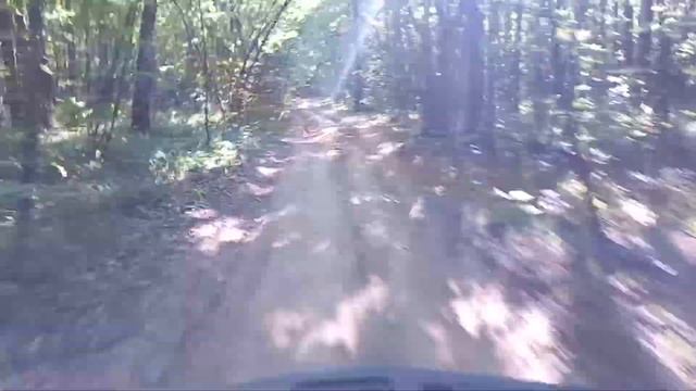 На квадроцикле motoland wild track по лесу и в гору. смотреть онлайн