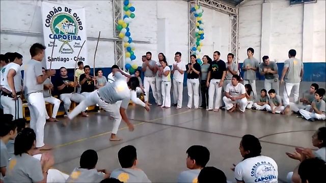 capoeira cordao de ouro 2014 смотреть онлайн