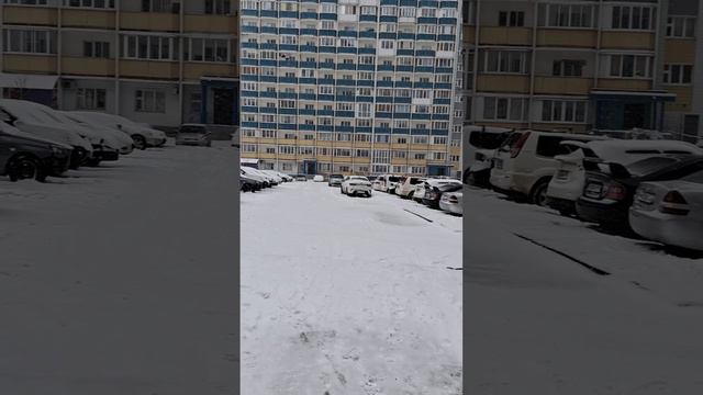 вот такая погода в Новосибирске ❄️ смотреть онлайн