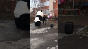 Панда поздравляет с днём рождения. Поздравление от большого мишки