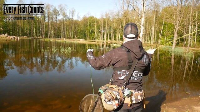 Douglas Upstream 8,3`#3 4 pc - Spötest - Review - Stenbiten Jakt och Fiskecenter смотреть онлайн