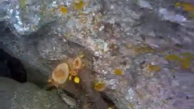 Граф Шереметев. Тюрьма Тешкли-бурун. Люкс. смотреть онлайн