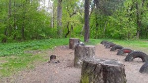 В РОЩЕ МОЕЙ ПЕЛ СОЛОВЕЙ ? НЕ ДАВАЛ ПОКОЯ ТЁЩЕ МОЕЙ - СЛОВА НЕ ВЫКИНЕШЬ ИЗ ПЕСНИ . . .