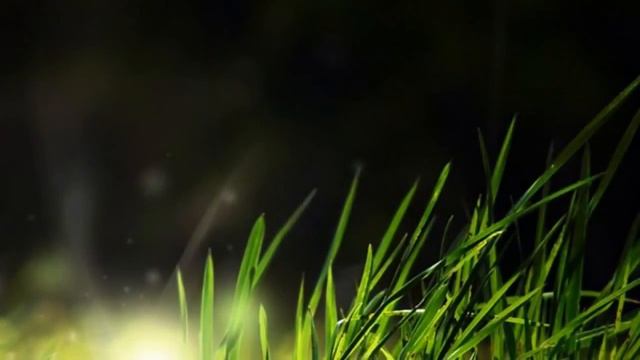Deva Premal - Om Tare Tuttare смотреть онлайн