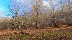 Омлет Азербайджанская Кухня Деревенская Кухня  Рецепты