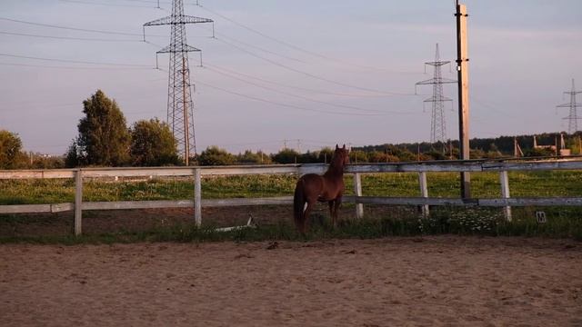 Caper смотреть онлайн