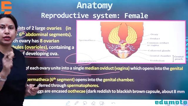 Lecture - 2, Class 11 : Structural Organisation in Animals Part 2 | Biology смотреть онлайн