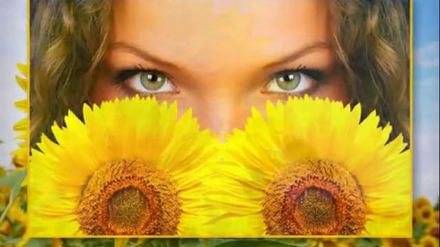 Подсолнухи смотреть онлайн