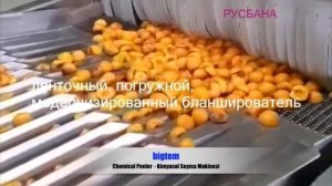 Варианты удаления косточек из фруктов на производстве | Переработка персика, абрикоса, сливы и вишн