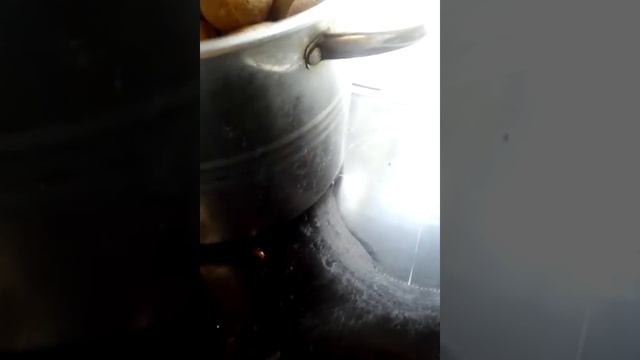 Таракан кайфарик в ресторане "Кадриль" Город Шуя Ивановская область смотреть онлайн