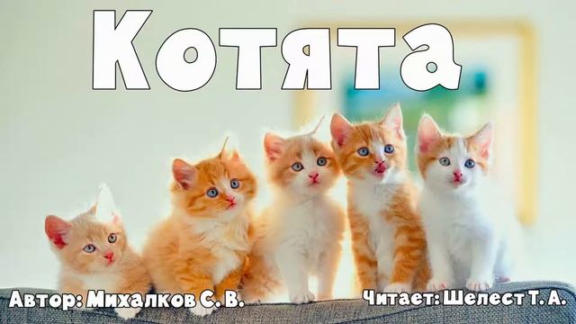 Котята Михалков С.В. смотреть онлайн