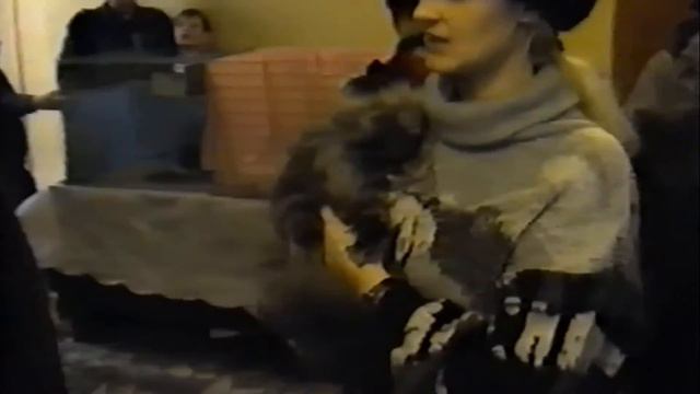 Выставка кошек. Бета. смотреть онлайн