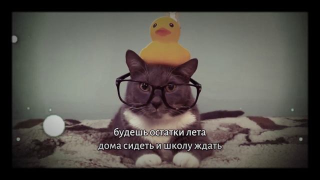 Будешь остатки лета дома сидеть и школу ждать