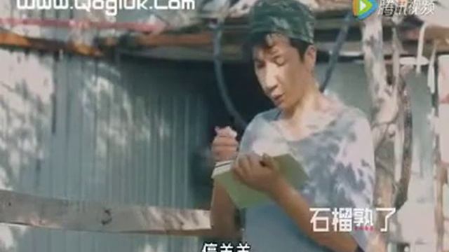 УМНЫЕ ОВЦЫ смотреть онлайн