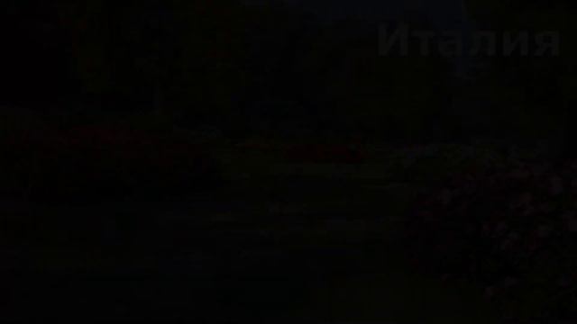 Расслабляющее видео с игрой на флейте смотреть онлайн