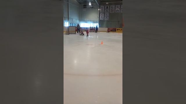 Tiny Goalie saving all the shots смотреть онлайн