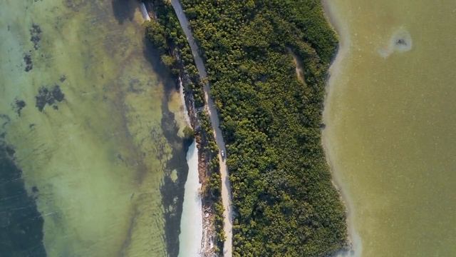 ? Красивая расслабляющая музыка ? Успокаивающая музыка для нервов, 4к видео