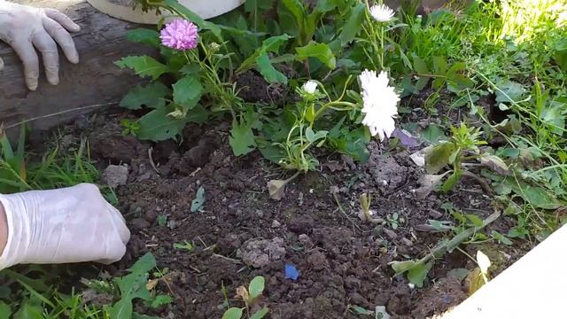 Ошибки огородные. Как не надо делать. Косяки. Рассказал всё честно. смотреть онлайн