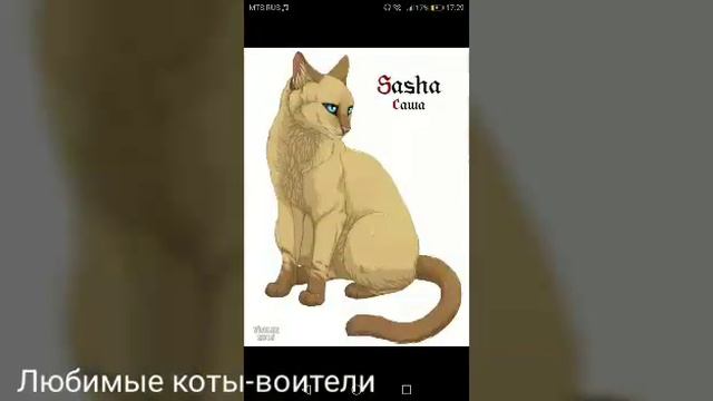 Слайд-шоу коты-воители - время