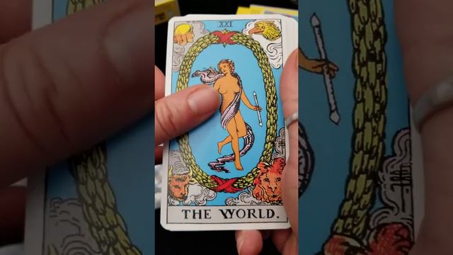 🔮A PLASTIC Tarot Deck??🔮What the HECK? The 100% plastic Rider Waite Tarot смотреть онлайн