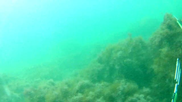 Охота на лобана 2021 Осень. смотреть онлайн