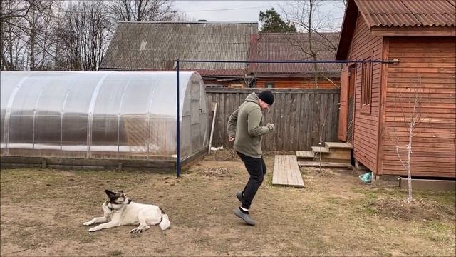 ВЛОГ БАННЫЙ ДЕНЬ/МЕДОВЫЙ МАССАЖ ЛИЦА смотреть онлайн