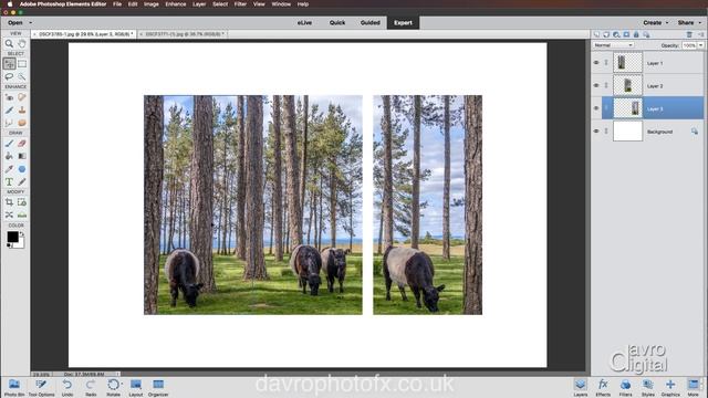 Triptych in Photoshop Elements смотреть онлайн