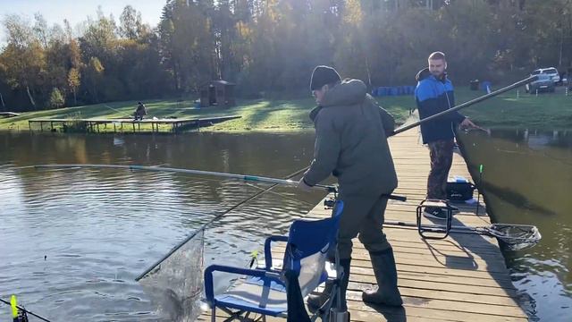 Форель на сырную пасту! смотреть онлайн