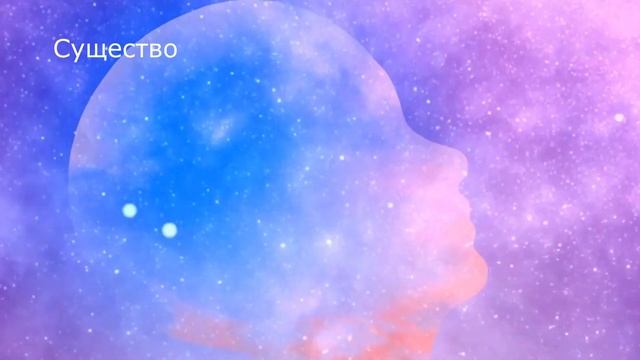 5 минут про Благодарность смотреть онлайн