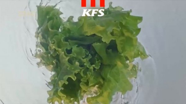 Рекламный блок СТАС (31.03.2023г. н.в.)