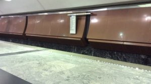 Станция метро «Борисово» // 26 ноября 2016 года