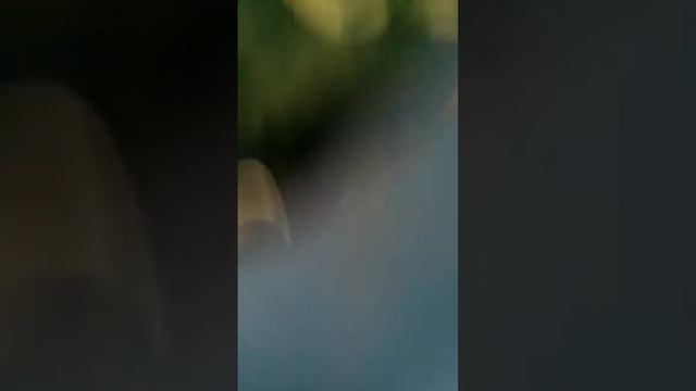 Влог чулым 2 часть смотреть онлайн