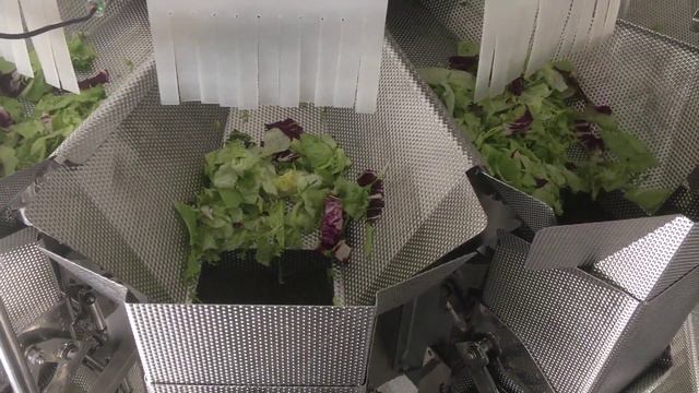 Дозирование и упаковка листовых салатов в Пакет смотреть онлайн