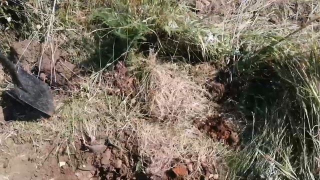 Новый персональный рекорд по сбору металлолома!!! смотреть онлайн