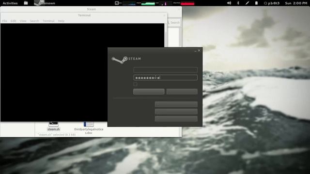 Issue Report: Steam on Linux surface_opengl.cpp (845) (505) Assertion failed at login screen смотреть онлайн